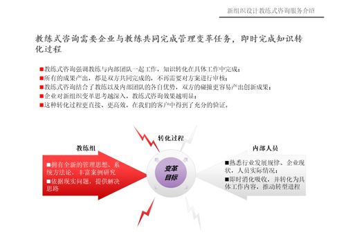 新组织设计 教练式咨询服务介绍